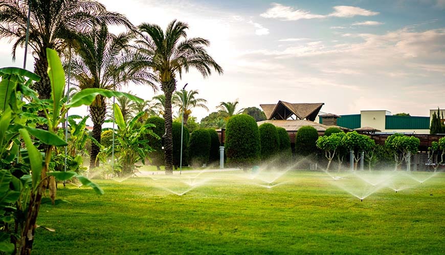 Automatic Water Irrigation